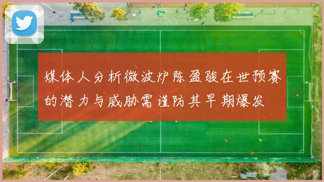 媒体人分析微波炉陈盈骏在世预赛的潜力与威胁需谨防其早期爆发