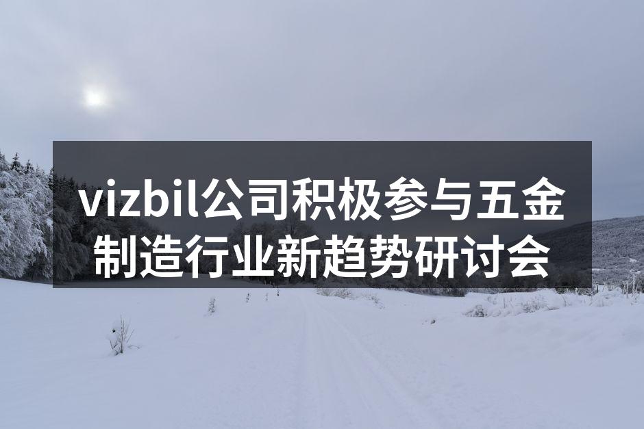 vizbil公司代表在研讨会上发言